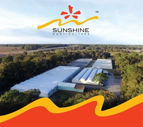 Cliff's Notes - Begins